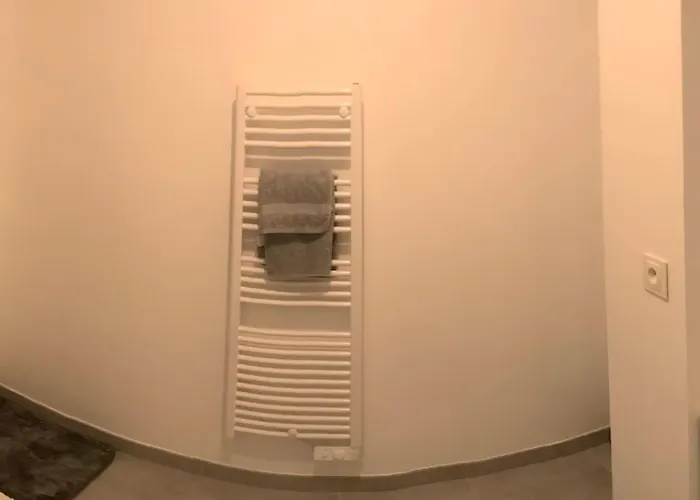 Les Terrasses De L'hotel Dieu דירה *